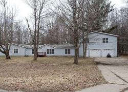 Foreclosure Listing in BIRCHWOOD DR MANISTEE, MI 49660