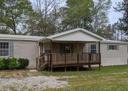 Foreclosure Listing in SHERWOOD TRL NEWTON, AL 36352