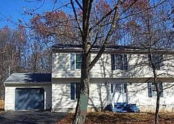 Foreclosure Listing in SEGATTI CIR BUSHKILL, PA 18324