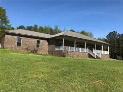 Foreclosure in  N DAVIS RD Cottondale, AL 35453