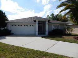 Foreclosure in  RIDGE VIEW DR Davenport, FL 33837