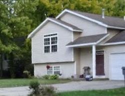 Foreclosure in  ELM ST Fennville, MI 49408