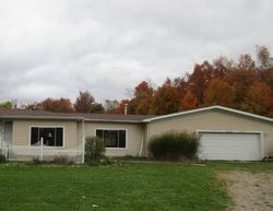 Foreclosure in  COUNTY ROAD 384 Grand Junction, MI 49056