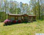 Foreclosure in  SPRING CREEK RD Dinwiddie, VA 23841