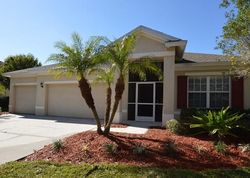 Foreclosure in  CARRINGTON OAKS LN Apollo Beach, FL 33572