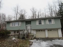 Foreclosure in  SHELDON RD Wingdale, NY 12594