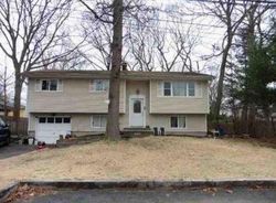Foreclosure Listing in ORIENTA AVE LAKE GROVE, NY 11755