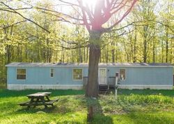 Foreclosure in  S 7 1/2 RD Harrietta, MI 49638