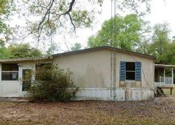 Foreclosure Listing in DEER RUN LAKELAND, FL 33809