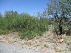 Foreclosure in  CAMINO OSITO # 21 Rio Rico, AZ 85648
