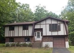 Foreclosure Listing in MANOR LN CANADENSIS, PA 18325