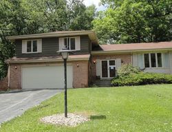 Foreclosure Listing in GREENWOOD DR OLYMPIA FIELDS, IL 60461