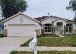 Foreclosure in  WILLOW LAKES DR Lutz, FL 33549