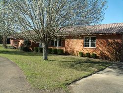 Foreclosure Listing in DIVIDE RD JAYESS, MS 39641