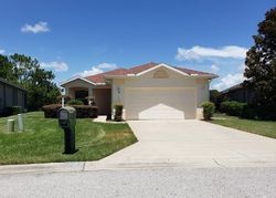 Foreclosure Listing in W CRYSTAL MAE PATH LECANTO, FL 34461