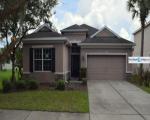 Foreclosure in  NEW CROSS CIR Lithia, FL 33547