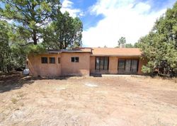 Foreclosure Listing in ISABELITA RD TIJERAS, NM 87059