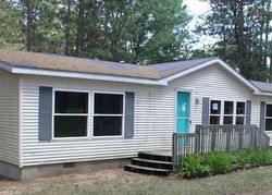 Foreclosure Listing in RUSTIC LN GRAYLING, MI 49738