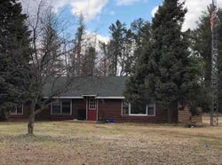 Foreclosure in  TANGNES FOREST RD Warroad, MN 56763