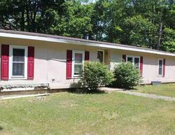 Foreclosure in  MOHAWK DR Cadillac, MI 49601