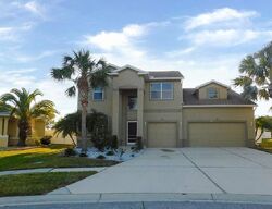 Foreclosure in  HOLLY CONE DR Riverview, FL 33569
