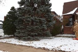 Foreclosure Listing in MAPLE AVE BROOKFIELD, IL 60513