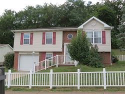 Foreclosure in  DELSANDRO DR Donora, PA 15033