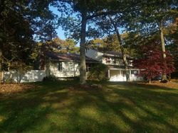 Foreclosure in  CARMEN VIEW DR Shirley, NY 11967