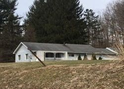 Foreclosure Listing in LYNN PORTAL RD WASHINGTON, PA 15301