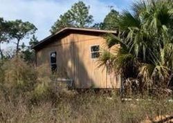 Foreclosure in  N ROCK CRESS PATH Crystal River, FL 34429