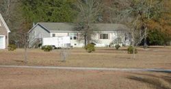 Foreclosure in  PINESTRAW LN Elgin, SC 29045