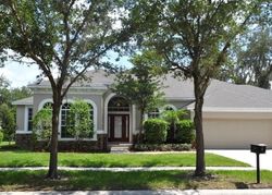 Foreclosure in  TERNCREST DR Lithia, FL 33547