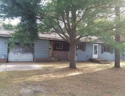 Foreclosure in  W 32ND ST Baldwin, MI 49304