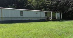 Foreclosure Listing in SLONES BR RACCOON, KY 41557