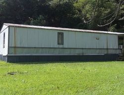 Foreclosure in  SLONES BR Raccoon, KY 41557