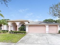 Foreclosure in  TURNBURY OAK DR Odessa, FL 33556