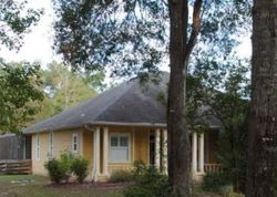 Foreclosure in  NW 251ST TER High Springs, FL 32643