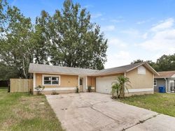 Foreclosure in  STEEL DUST LN Lutz, FL 33559