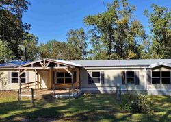 Foreclosure Listing in COUNTY ROAD 1095 CENTER, TX 75935