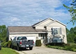 Foreclosure in  WHITEFISH WOODS DR Pierson, MI 49339