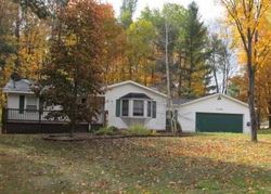 Foreclosure Listing in PONDEROSA DR CADILLAC, MI 49601