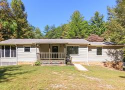 Foreclosure in  EMERALD LN Mineral Bluff, GA 30559