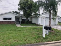 Foreclosure Listing in SE 107TH TER SUMMERFIELD, FL 34491