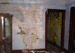 Foreclosure in  MAINE ST Hamtramck, MI 48212