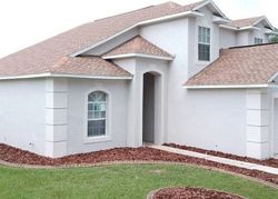 Foreclosure in  BUCKHORN PRESERVE BLVD Valrico, FL 33596