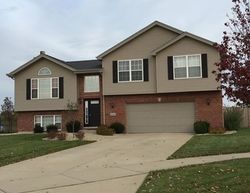 Foreclosure Listing in CARLOW CIR MANHATTAN, IL 60442