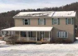 Foreclosure in  N HOFFMAN RD Elmira, NY 14903