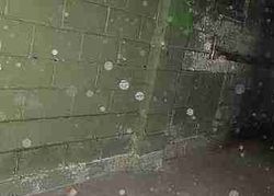 Foreclosure in  HARTWELL ST Detroit, MI 48227