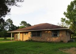 Foreclosure in  BEAR ISLAND RD Maurepas, LA 70449