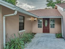 Foreclosure in  FLAMING ARROW DR Lakeland, FL 33813